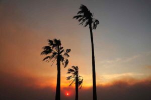 Los Angeles Incendi